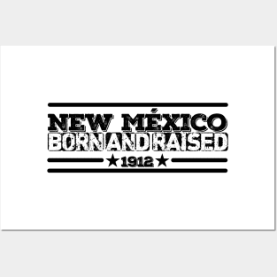 new méxico Posters and Art